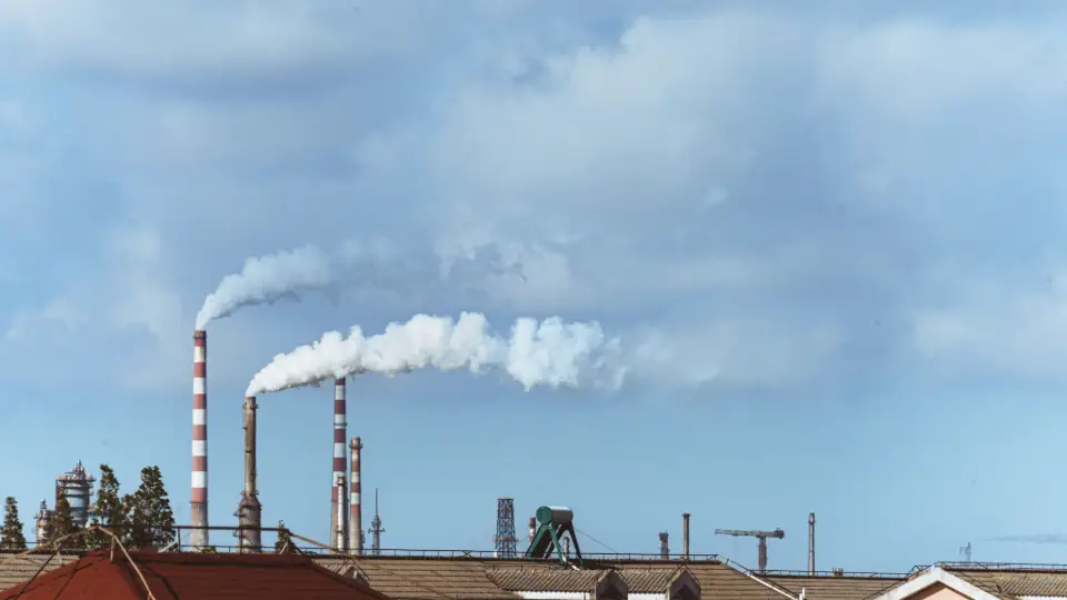 Die EnBW THG-Quote: Ein Beitrag zum Klimaschutz