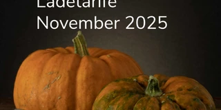E-Auto Ladetarife im November 2025