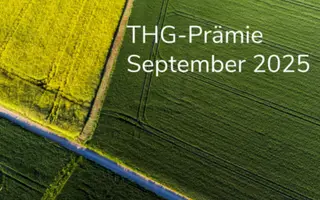 THG-Prämie September 2025