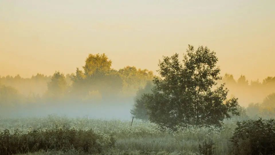 THG Praemien Vergleich 2025 | Einfach E-Auto