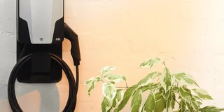 Wallbox günstig - ABL Basic an Hauswand mit Pflanze davor
