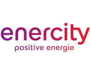 Enercity THG Prämie Fix 2023